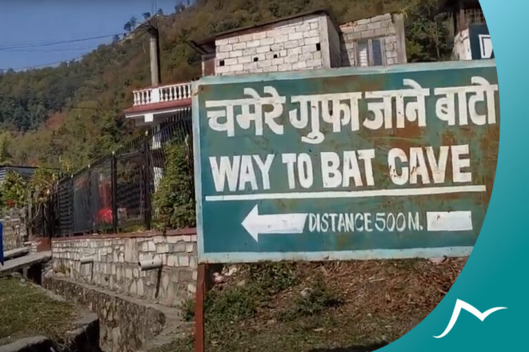 Discovering Nature's Masterpieces: 3 Famous Caves in Pokhara