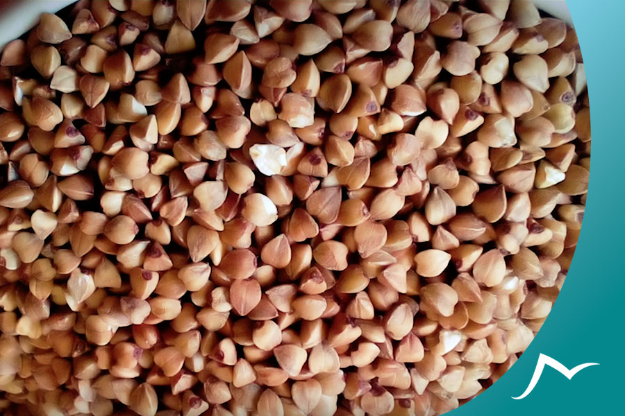 Buckwheat Bread in Nepal