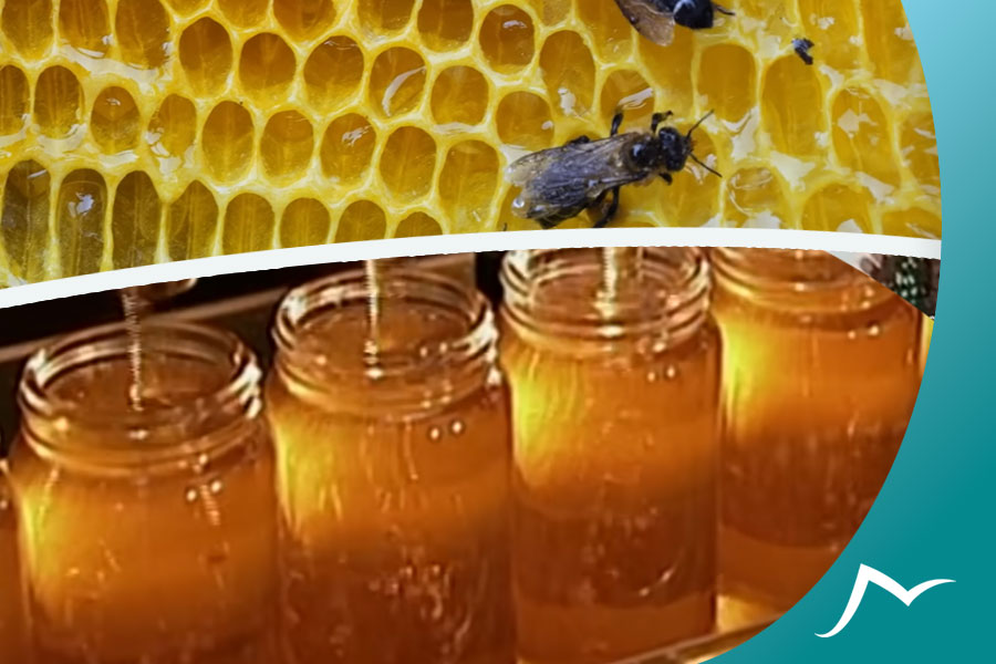 Discovering the World of Bitter Honey of Nepal: Everything You Need to Know