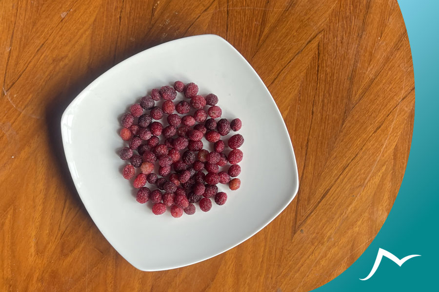 Neplese Bay Berry in a plate