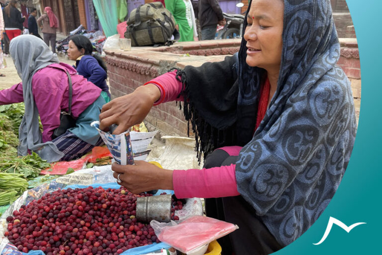 Neplese Bay Berry (Kaafal): A Delicious and Nutritious Wild Fruit of Nepal