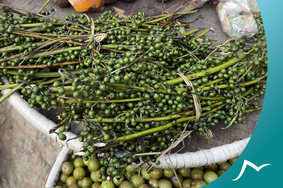 Uncovering the Unique and Distinctive Taste of Timmur in Nepalese Cuisine